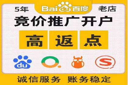 行业领先企业如何运用SEM进行精准营销
